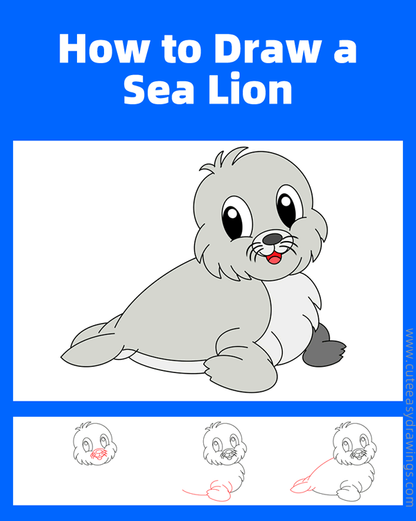 how to draw a sea lion - www.cuteeasydrawings.com