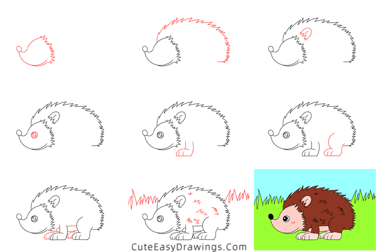 how to draw a hedgehog - www.cuteeasydrawings.com