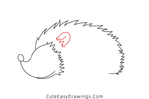 how to draw a hedgehog - www.cuteeasydrawings.com