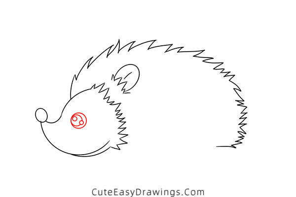 how to draw a hedgehog - www.cuteeasydrawings.com