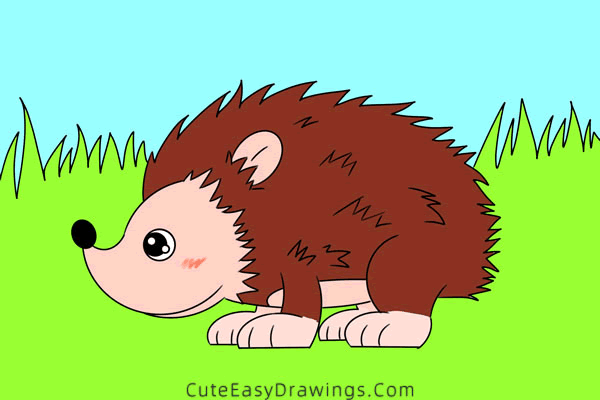 how to draw a hedgehog - www.cuteeasydrawings.com