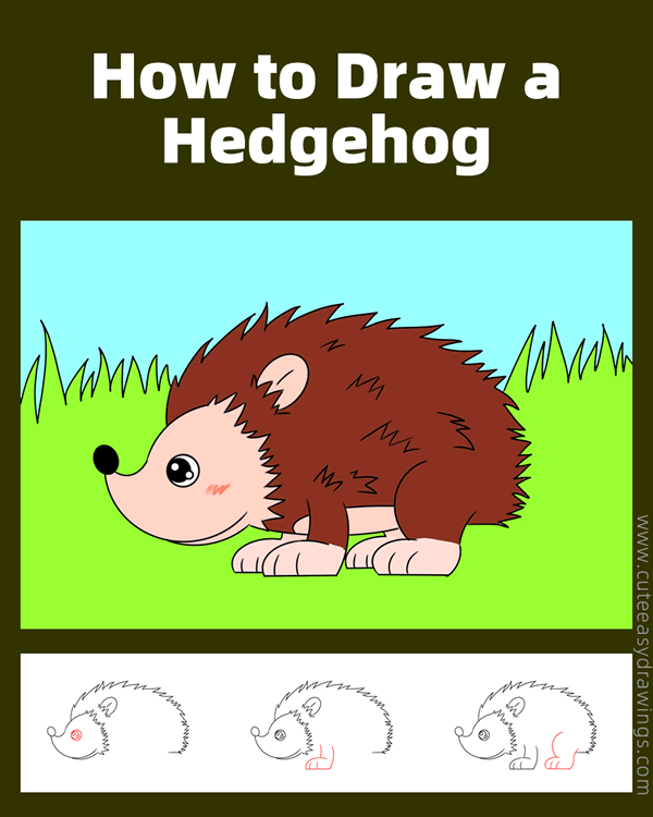 how to draw a hedgehog - www.cuteeasydrawings.com