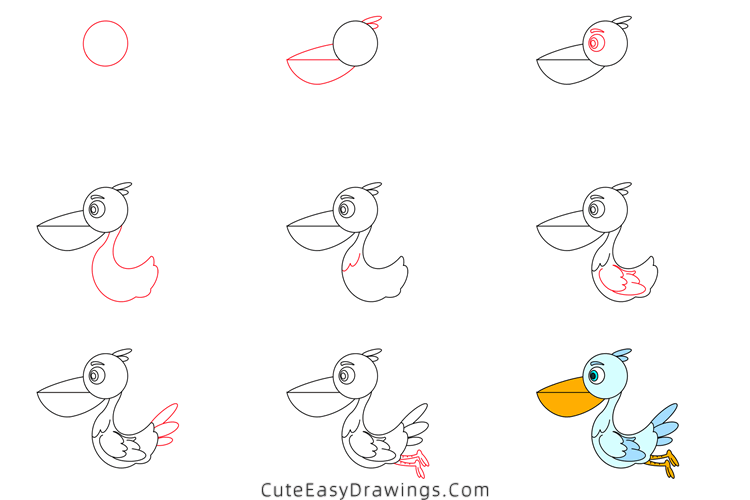 how to draw a pelican - www.cuteeasydrawings.com