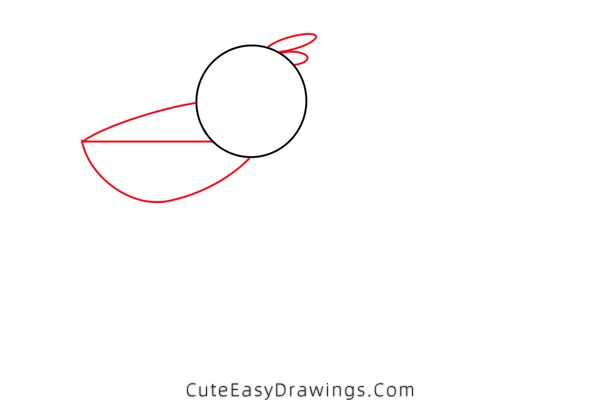 how to draw a pelican - www.cuteeasydrawings.com