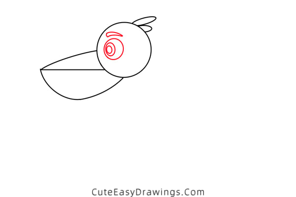 how to draw a pelican - www.cuteeasydrawings.com