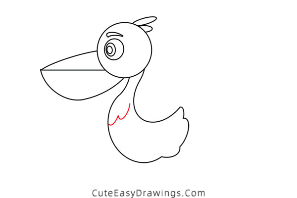 how to draw a pelican - www.cuteeasydrawings.com