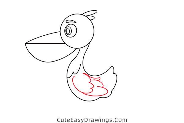 how to draw a pelican - www.cuteeasydrawings.com