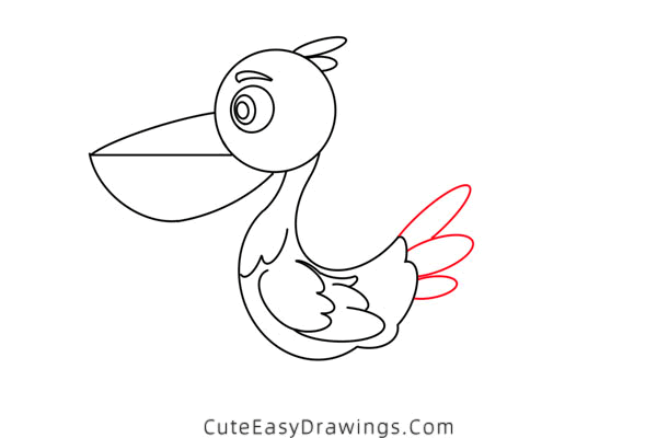 how to draw a pelican - www.cuteeasydrawings.com