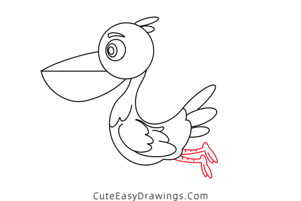 how to draw a pelican - www.cuteeasydrawings.com