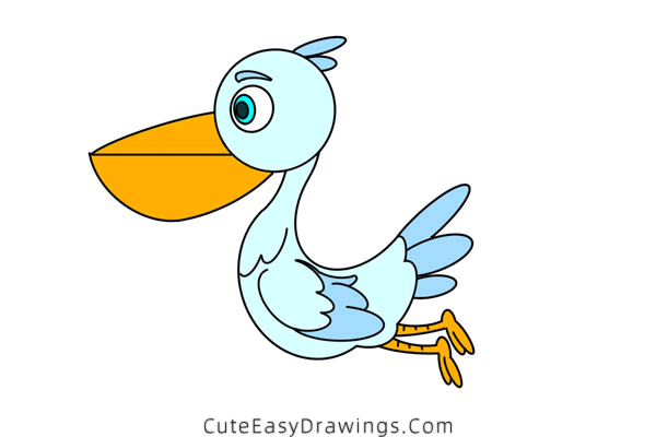 how to draw a pelican - www.cuteeasydrawings.com