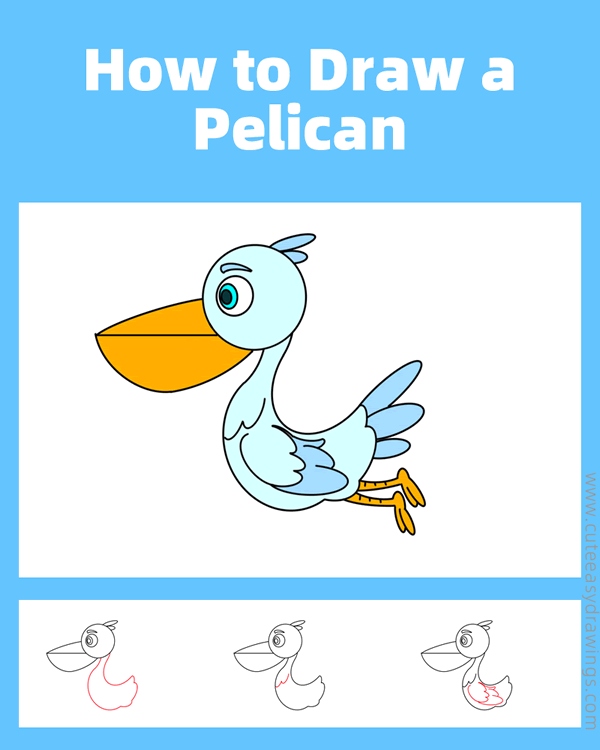 how to draw a pelican - www.cuteeasydrawings.com