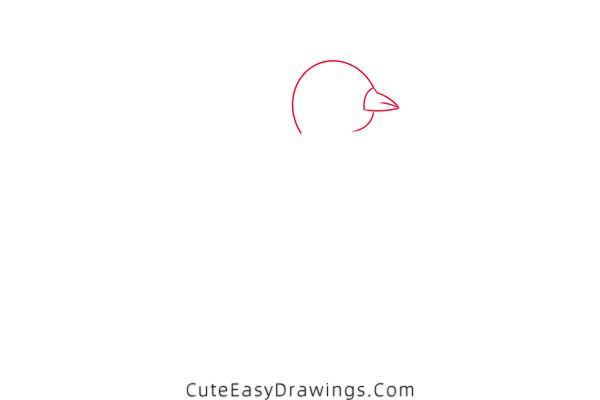 how to draw a hen hatching eggs - www.cuteeasydrawings.com