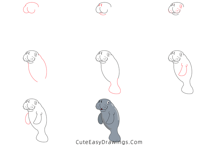 how to draw a manatee - www.cuteeasydrawings.com