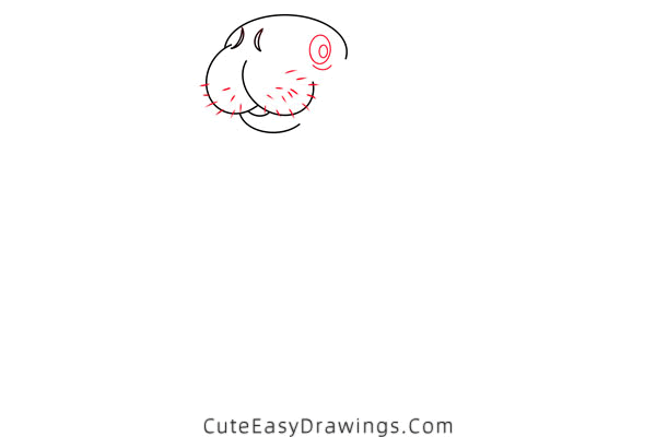 how to draw a manatee - www.cuteeasydrawings.com