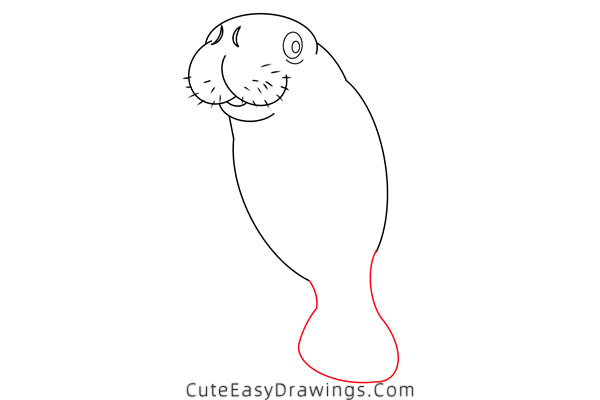 how to draw a manatee - www.cuteeasydrawings.com