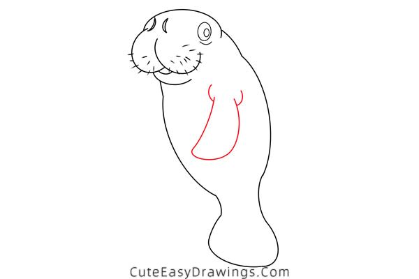 how to draw a manatee - www.cuteeasydrawings.com