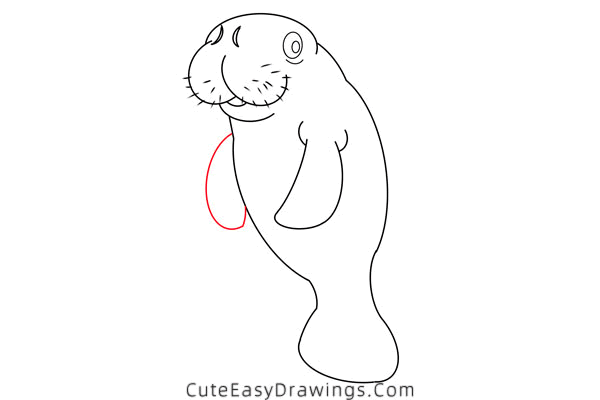 how to draw a manatee - www.cuteeasydrawings.com