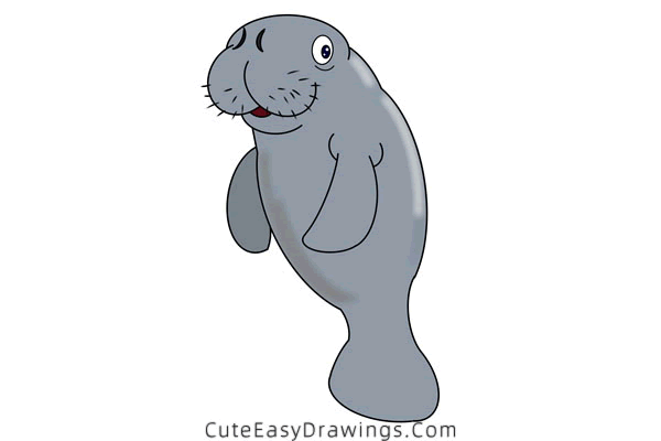 how to draw a manatee - www.cuteeasydrawings.com