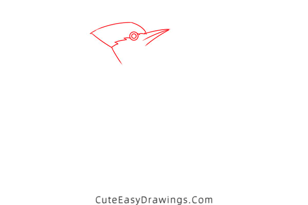 how to draw a pileated woodpecker - www.cuteeasydrawings.com