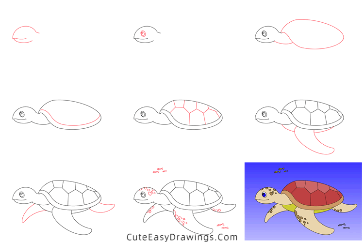 how to draw a turtle - www.cuteeasydrawings.com