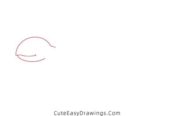 how to draw a turtle - www.cuteeasydrawings.com