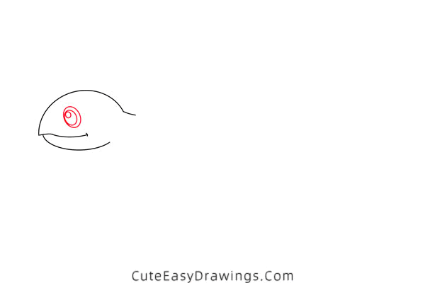 how to draw a turtle - www.cuteeasydrawings.com