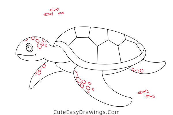 how to draw a turtle - www.cuteeasydrawings.com