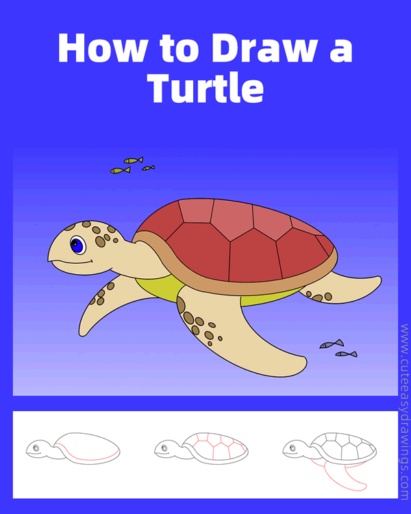 how to draw a turtle - www.cuteeasydrawings.com