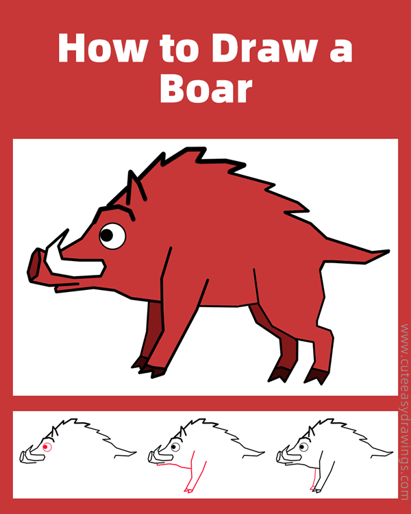 How to Draw a Boar Step by Step Cute Easy Drawings