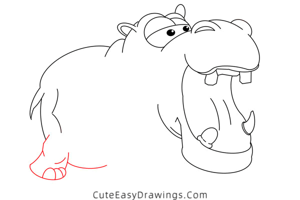 how to draw a hippo - www.cuteeasydrawings.com