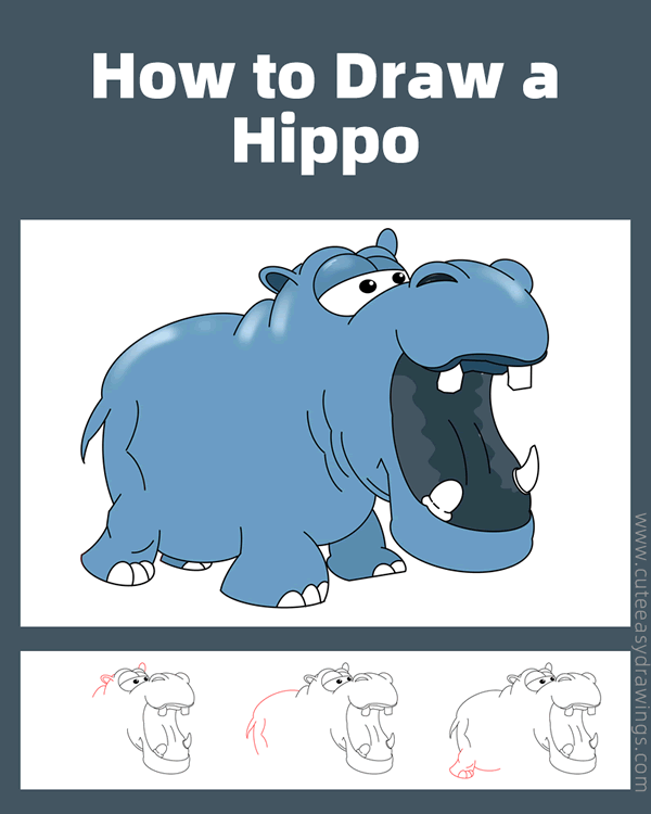 how to draw a hippo - www.cuteeasydrawings.com