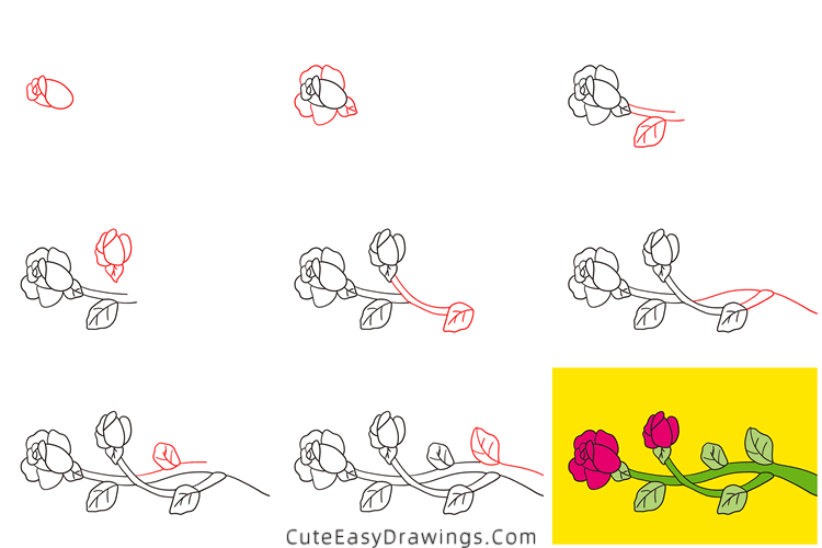 how to draw a rose on branch - www.cuteeasydrawings.com