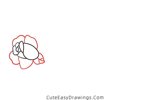 how to draw a rose on branch - www.cuteeasydrawings.com