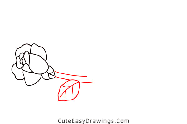 how to draw a rose on branch - www.cuteeasydrawings.com