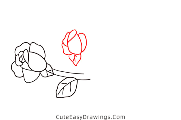 how to draw a rose on branch - www.cuteeasydrawings.com