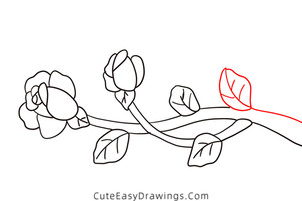 how to draw a rose on branch - www.cuteeasydrawings.com