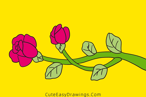 how to draw a rose on branch - www.cuteeasydrawings.com