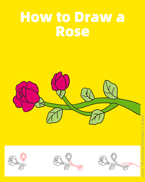 how to draw a rose on branch - www.cuteeasydrawings.com