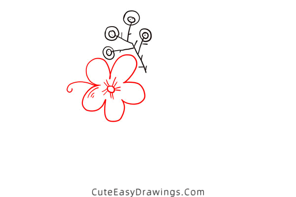 how to draw flowers - www.cuteeasydrawings.com