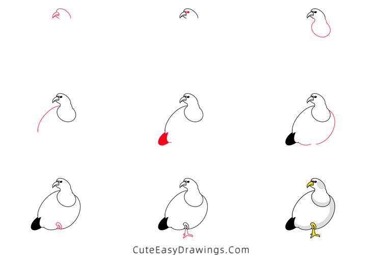 how to draw a pheasant - www.cuteeasydrawings.com