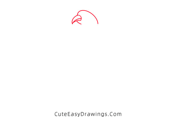 how to draw a pheasant - www.cuteeasydrawings.com