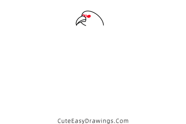 how to draw a pheasant - www.cuteeasydrawings.com