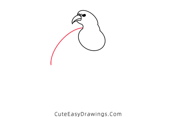 how to draw a pheasant - www.cuteeasydrawings.com