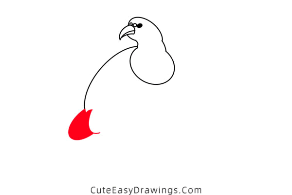 how to draw a pheasant - www.cuteeasydrawings.com