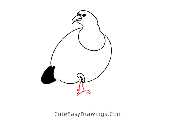 how to draw a pheasant - www.cuteeasydrawings.com