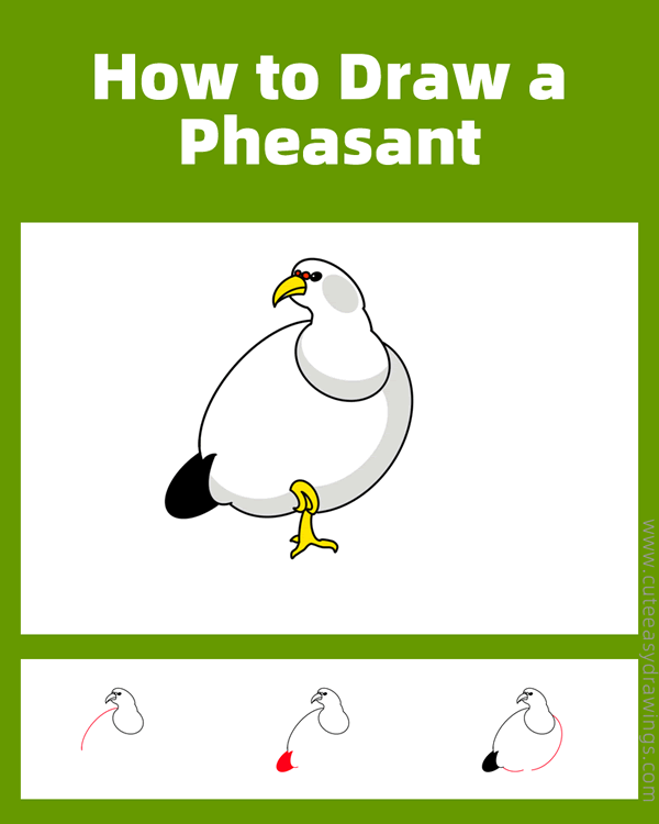 how to draw a pheasant - www.cuteeasydrawings.com