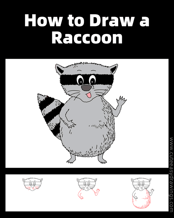 how to draw a raccoon - www.cuteeasydrawings.com