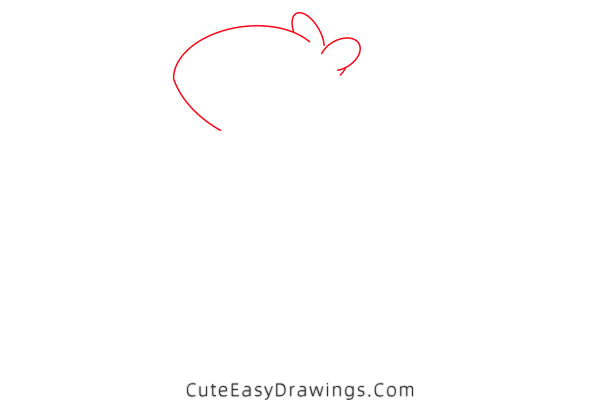 how to draw a gerbil - www.cuteeasydrawings.com