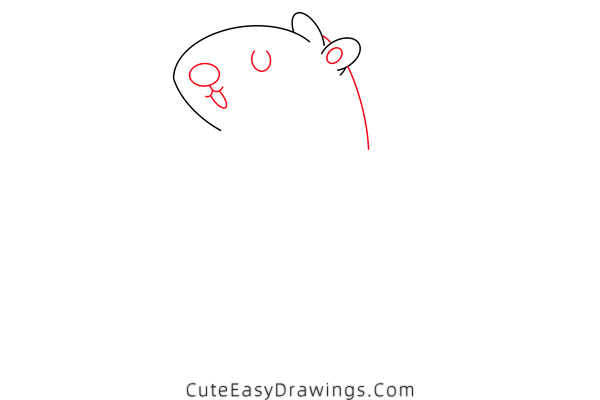 how to draw a gerbil - www.cuteeasydrawings.com