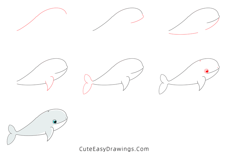 how to draw a beluga whale - www.cuteeasydrawings.com